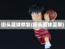 街头篮球修复(街头篮球蓝屏)