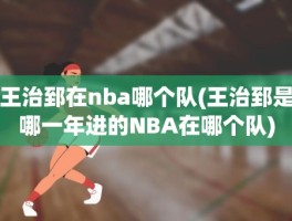 王治郅在nba哪个队(王治郅是哪一年进的NBA在哪个队)