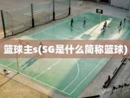 篮球主s(SG是什么简称篮球)