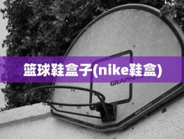 篮球鞋盒子(nike鞋盒)