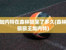 加内特在森林狼呆了多久(森林狼狼王加内特)