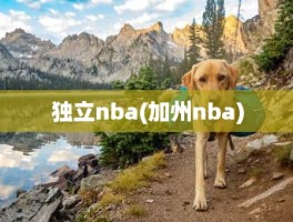 独立nba(加州nba)