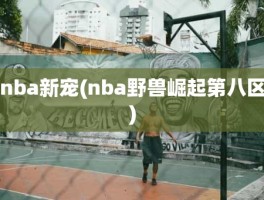 nba新宠(nba野兽崛起第八区)