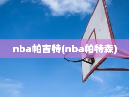 nba帕吉特(nba帕特森)