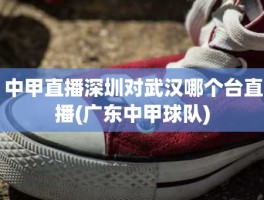 中甲直播深圳对武汉哪个台直播(广东中甲球队)