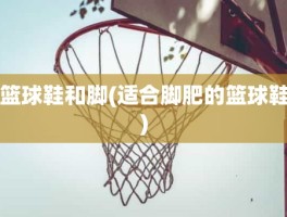 篮球鞋和脚(适合脚肥的篮球鞋)