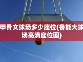 甲骨文球场多少座位(鲁能大球场高清座位图)