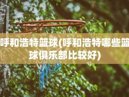 呼和浩特篮球(呼和浩特哪些篮球俱乐部比较好)