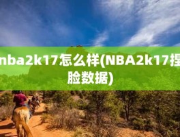 nba2k17怎么样(NBA2k17捏脸数据)