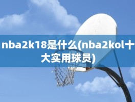 nba2k18是什么(nba2kol十大实用球员)