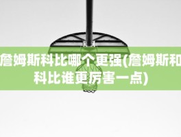 詹姆斯科比哪个更强(詹姆斯和科比谁更厉害一点)