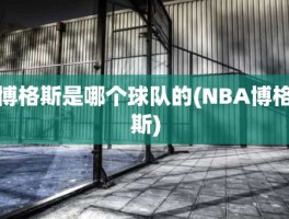 博格斯是哪个球队的(NBA博格斯)