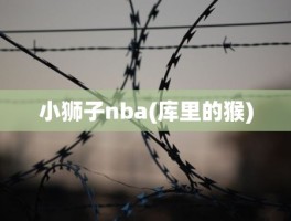 小狮子nba(库里的猴)