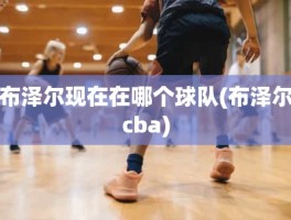 布泽尔现在在哪个球队(布泽尔cba)