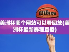 美洲杯哪个网站可以看回放(美洲杯最新赛程直播)