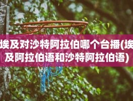 埃及对沙特阿拉伯哪个台播(埃及阿拉伯语和沙特阿拉伯语)