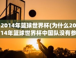 2014年篮球世界杯(为什么2014年篮球世界杯中国队没有参加呢)