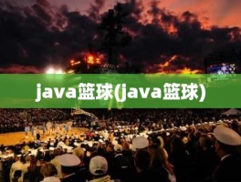 java篮球(java篮球)