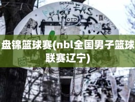 盘锦篮球赛(nbl全国男子篮球联赛辽宁)