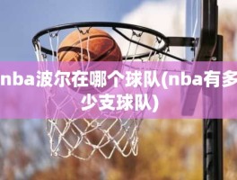 nba波尔在哪个球队(nba有多少支球队)