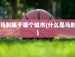 马刺属于哪个城市(什么是马刺)