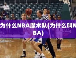 为什么NBA魔术队(为什么叫NBA)