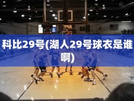 科比29号(湖人29号球衣是谁啊)