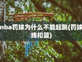 nba罚球为什么不能起跳(罚球线扣篮)