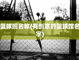 篮球班名称(有创意的篮球馆名字)