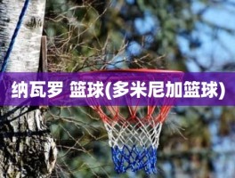 纳瓦罗 篮球(多米尼加篮球)