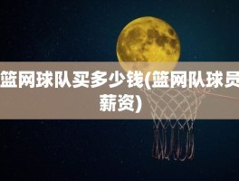 篮网球队买多少钱(篮网队球员薪资)