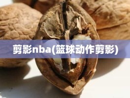 剪影nba(篮球动作剪影)