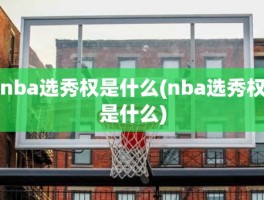 nba选秀权是什么(nba选秀权是什么)