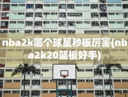 nba2k哪个球星秒板厉害(nba2k20篮板好手)