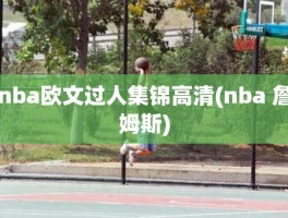 nba欧文过人集锦高清(nba 詹姆斯)