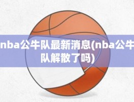 nba公牛队最新消息(nba公牛队解散了吗)