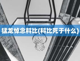 猛龙悼念科比(科比死于什么)