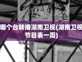 哪个台转播湖南卫视(湖南卫视节目表一周)