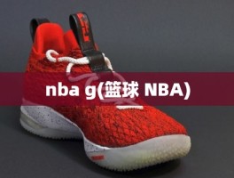 nba g(篮球 NBA)