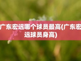 广东宏远哪个球员最高(广东宏远球员身高)