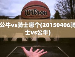 公牛vs骑士哪个(20150406骑士vs公牛)