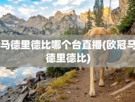 马德里德比哪个台直播(欧冠马德里德比)