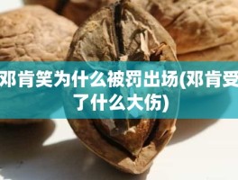 邓肯笑为什么被罚出场(邓肯受了什么大伤)