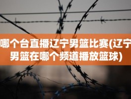 哪个台直播辽宁男篮比赛(辽宁男篮在哪个频道播放篮球)