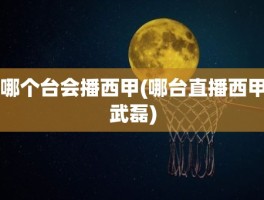 哪个台会播西甲(哪台直播西甲武磊)