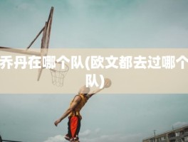 乔丹在哪个队(欧文都去过哪个队)