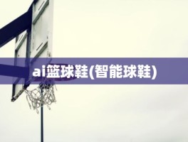 ai篮球鞋(智能球鞋)