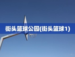 街头篮球公园(街头篮球1)