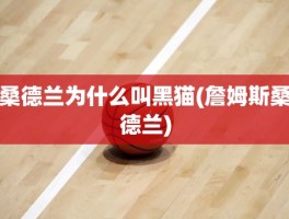 桑德兰为什么叫黑猫(詹姆斯桑德兰)