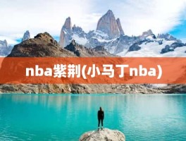 nba紫荆(小马丁nba)